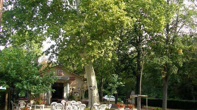 Chateau De Saint Michel De Lanes Restaurant photo